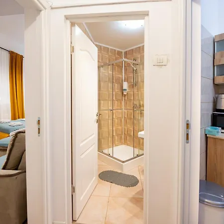 Apartment Unirii *